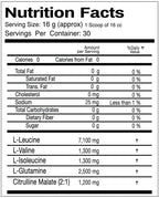 Caretaker 480 Gr - Zoomad Labs BCAA 10:1:1 Glutamina Citrulina Guardian