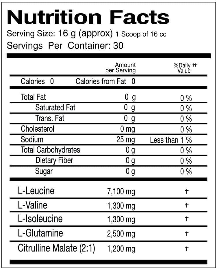 Caretaker 480 Gr - Zoomad Labs BCAA 10:1:1 Glutamina Citrulina Guardian